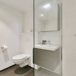arcadia studio apartment bathroom with shower