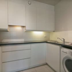 fully equipped kitchen with washing machine and dishwasher