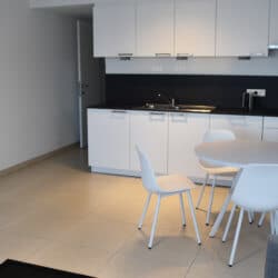 Kitchen- One bedroom apartment (Arcadia)