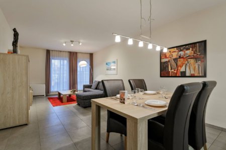 spacious dining and living space in furnished one bedroom apartment between European Commission and City Centre Brussels