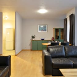 dunant gardens two bedroom apartment living space
