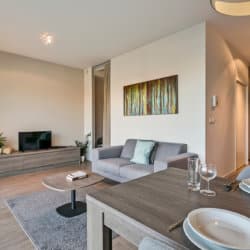 bbf serviced apartment with cable television in diegem
