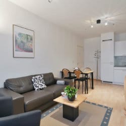sofa an dining area in one bedroom furnished apartment near european commission