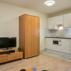 cable television and storage in bbf studio apartment