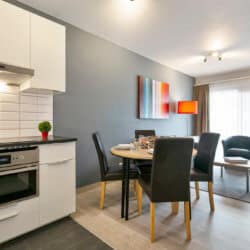 spacious one bedroom serviced apartment near european commission