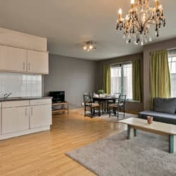 spacieux salon d'un appartement d'une chambre à coucher dans le centre de Bruxelles