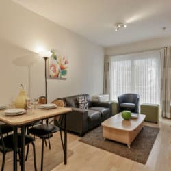 one bedroom serviced apartment next to european commission