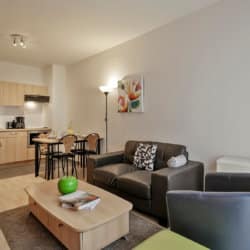 comfortabele woonkamer in appartement met één slaapkamer in europese wijk
