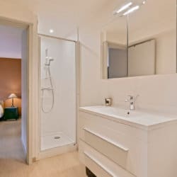 salle de bain attenante avec douche