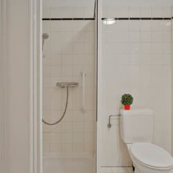salle de bain avec douche et toilettes et nettoyage bi-hebdomadaire