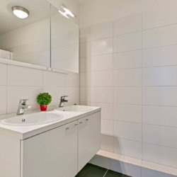 lavabo de salle de bains avec deux vasques dans un appartement de deux chambres
